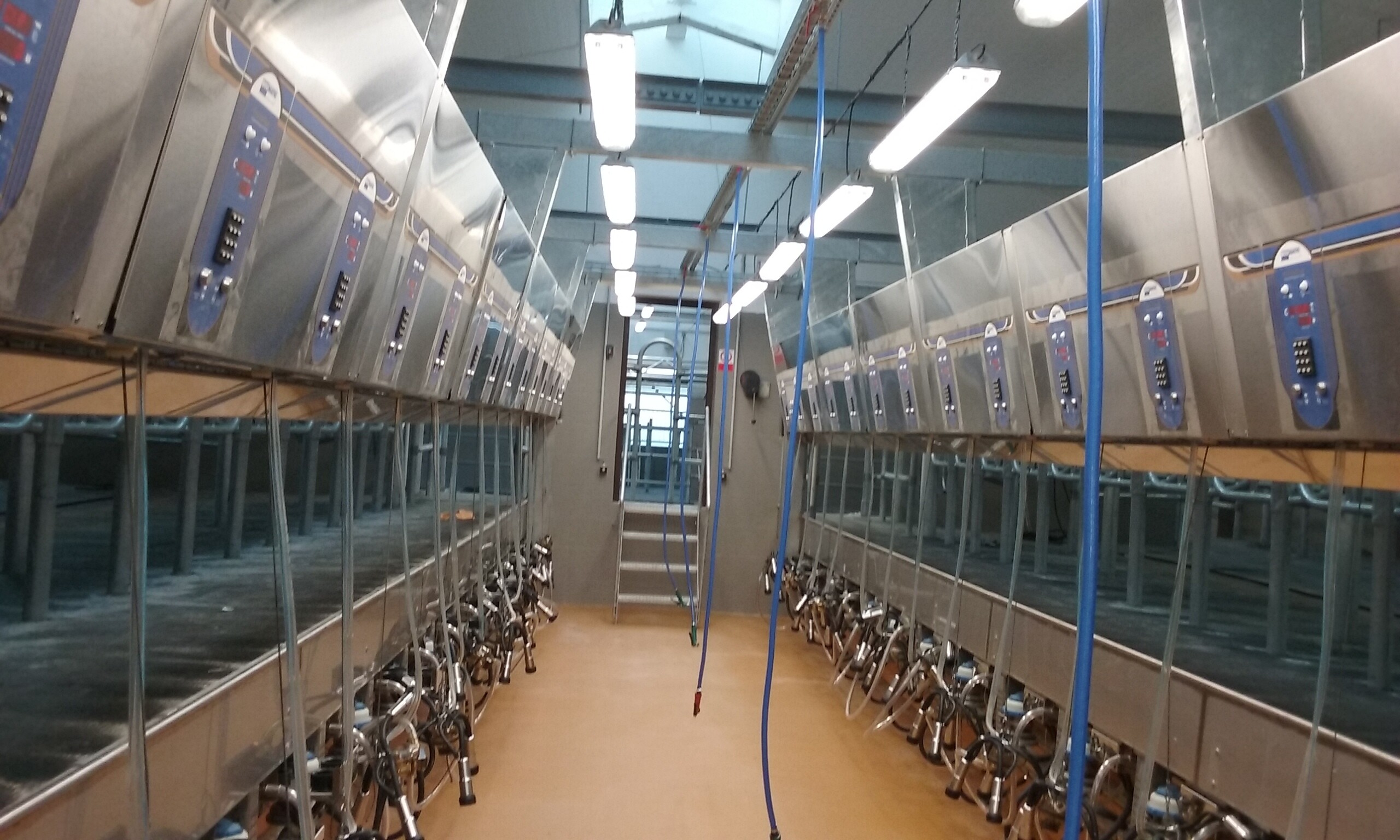 https://www.dotin.cz/media/reference/rekonstrukce-dojirny-mlecna-farma-hodice/20161101-072626-1.jpg